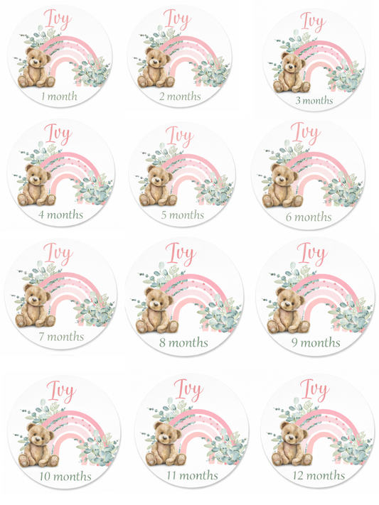 Acrylic teddy rainbow milestone discs